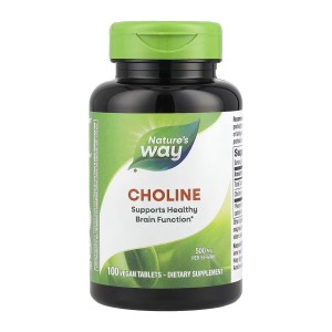 Choline 500 mg - 100 tabs