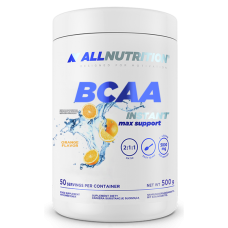 BCAA Max Support Instant - 500g Orange (До 04.25)