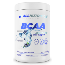 BCAA Max Support Instant - 500g Bllueberry